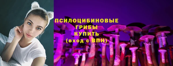 спиды Заволжье
