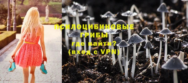 крисы Заводоуковск