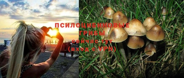 спиды Заволжье