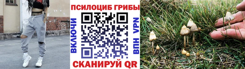 Купить где  Волоколамск  Псилоцибиновые грибы Magic Shrooms 