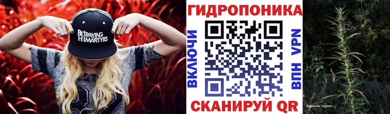 Купить закладки  Волоколамск  Марихуана конопля 